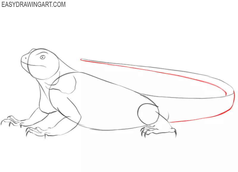 iguana drawing step by step