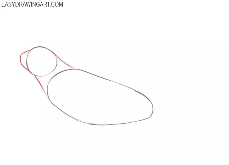 how to draw an iguana step by step