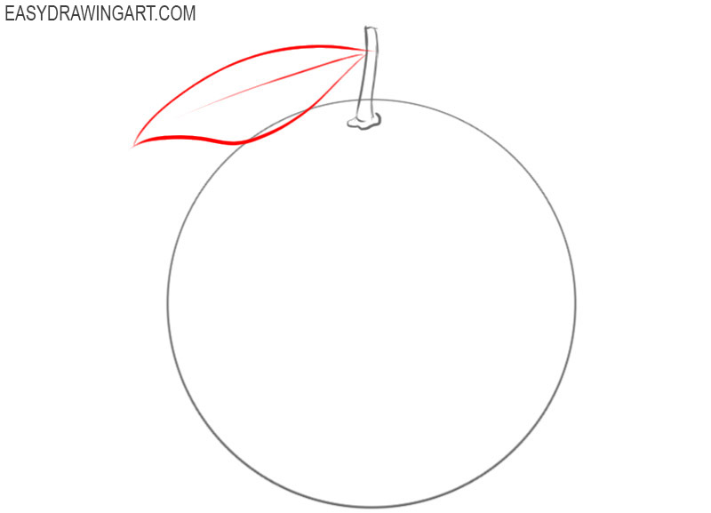 how to draw an orange fruit 