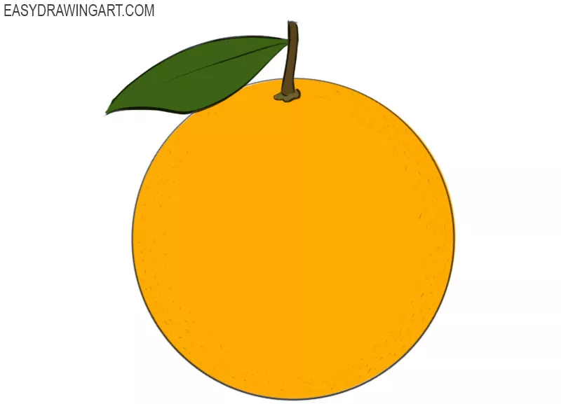 Orange drawing] How to draw an Orange - Easy fruit drawings - EASY TO DRAW  EVERYTHING