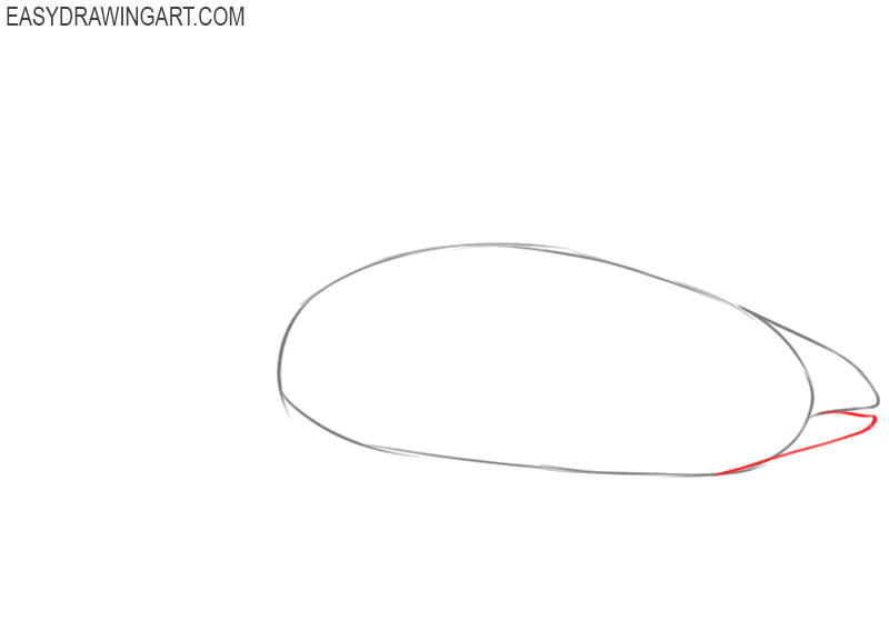 How to draw an orca: step 3