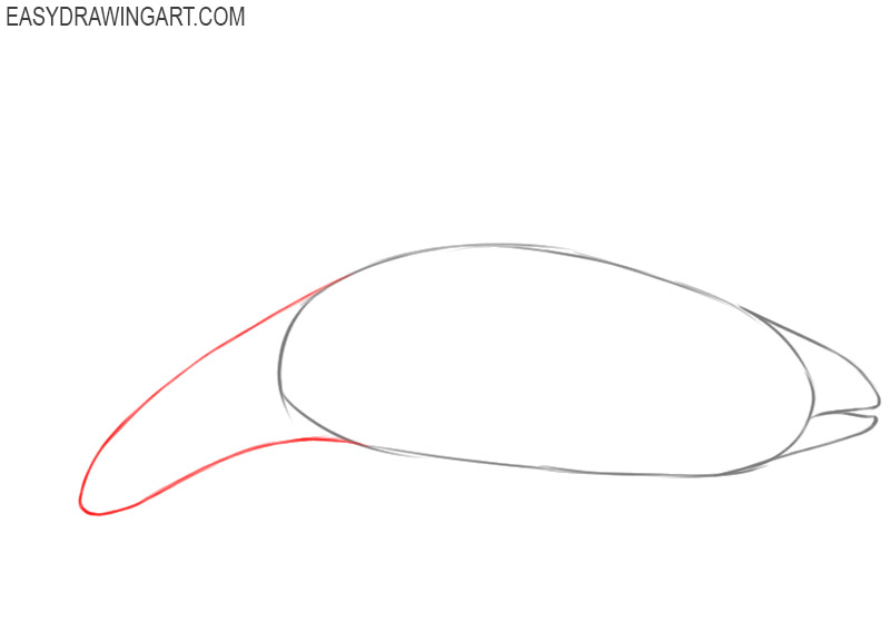 How to draw an orca: step 4