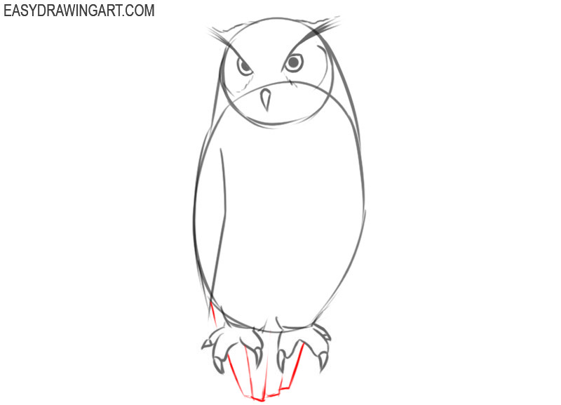 how to draw an owl colored pencils