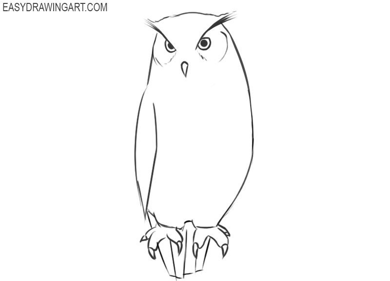 how to draw an owl drawings