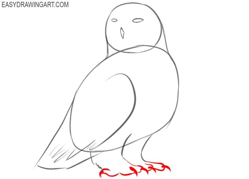 how to draw an snowy owl