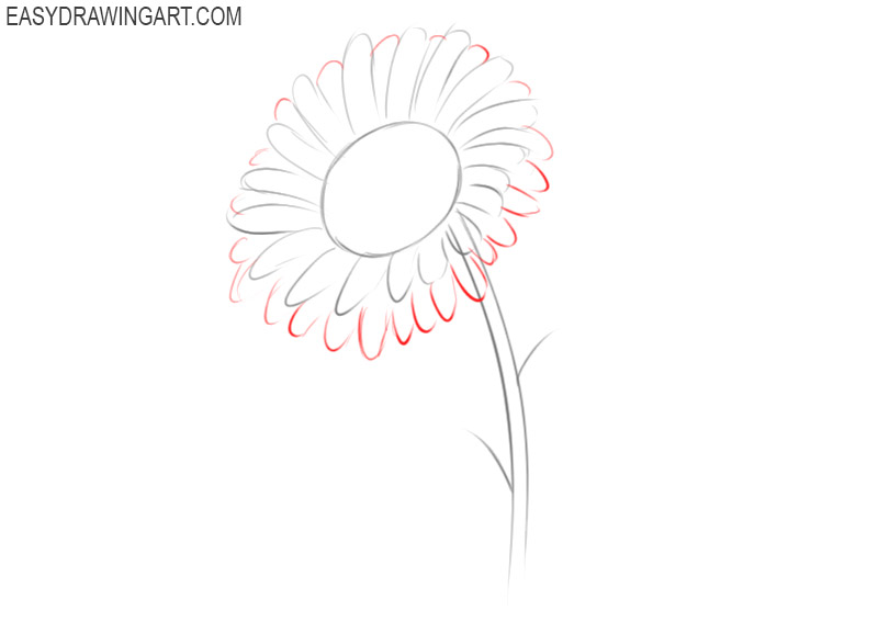 how to draw and color a sunflower