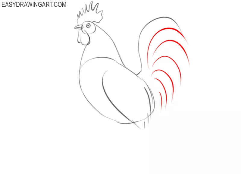 how to draw and colour a rooster