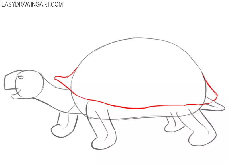 How to Draw a Greek Tortoise (Turtles and Tortoises) Step by Step |  DrawingTutorials101.com