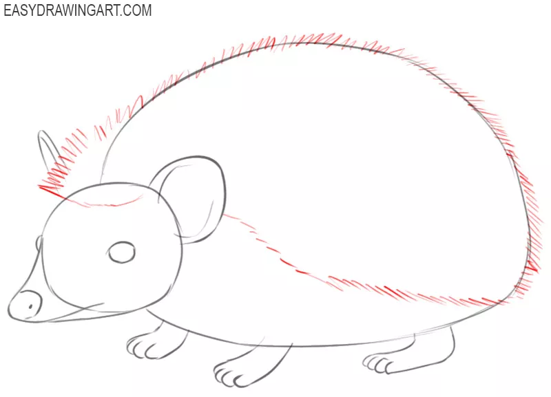 how to draw basic hedgehog 