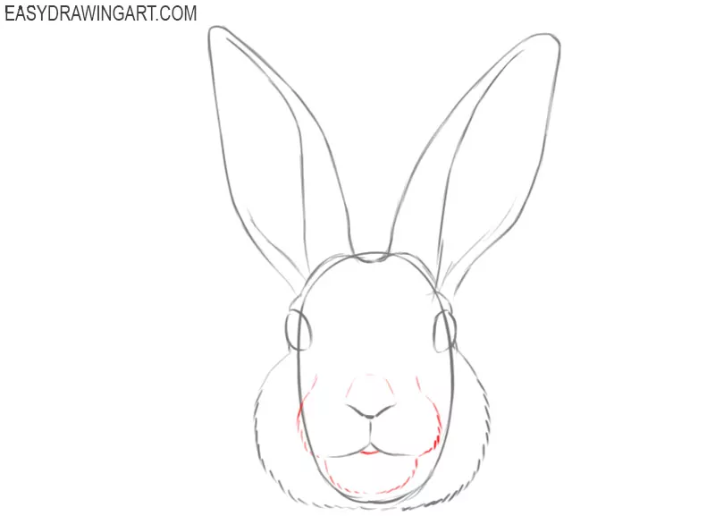 how to draw bunny rabbits face