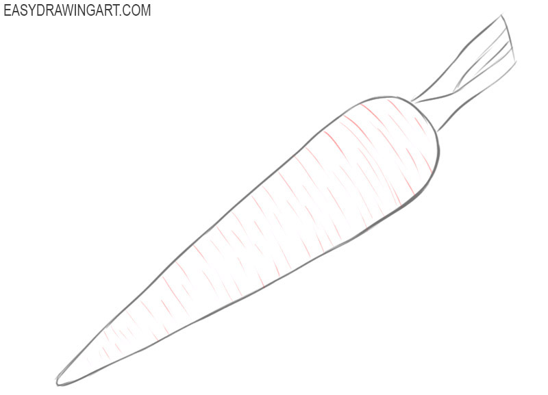 how to draw carrot for beginners