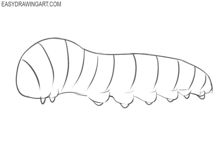 How to Draw a Caterpillar Easy Drawing Art