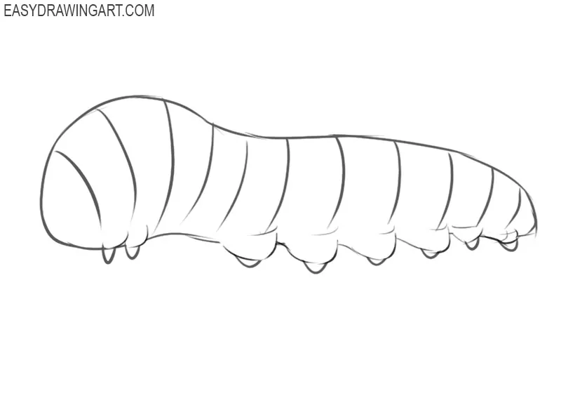 how to draw caterpillar for beginners