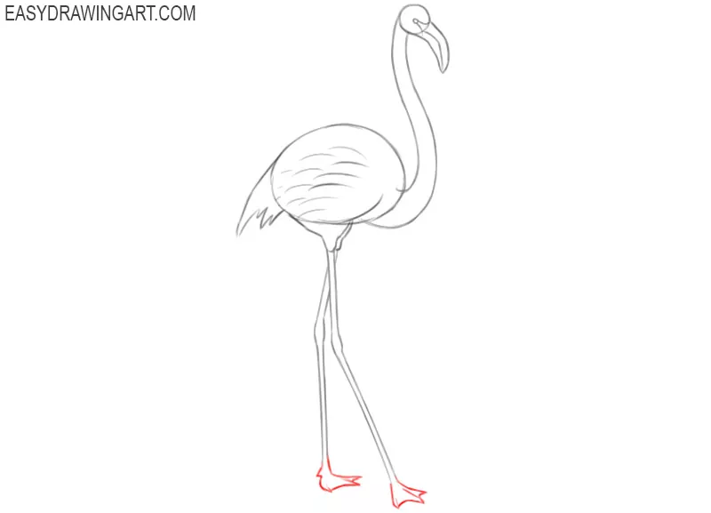 how to draw cool flamingo