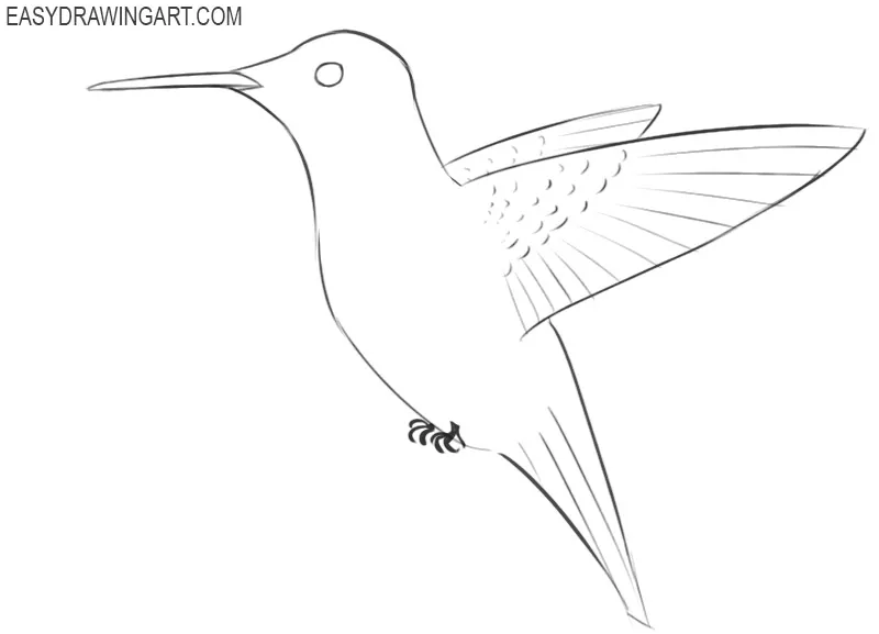 how to draw cool hummingbird