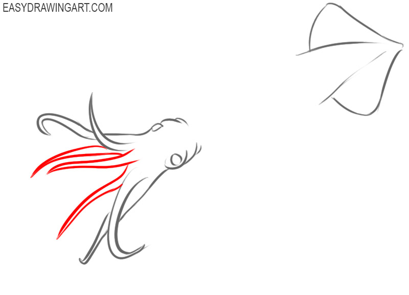 how to draw cool squid