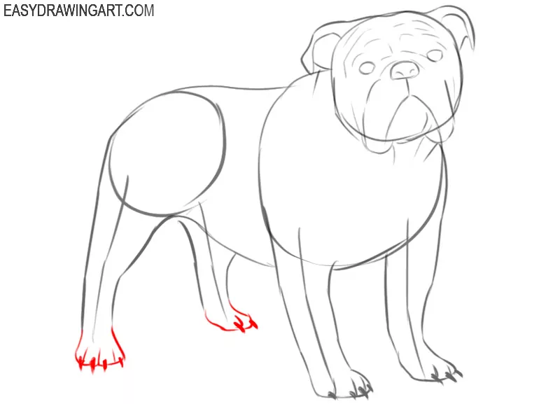 how to draw easy cartoon bulldog