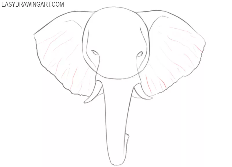 how to draw elephant head drawings