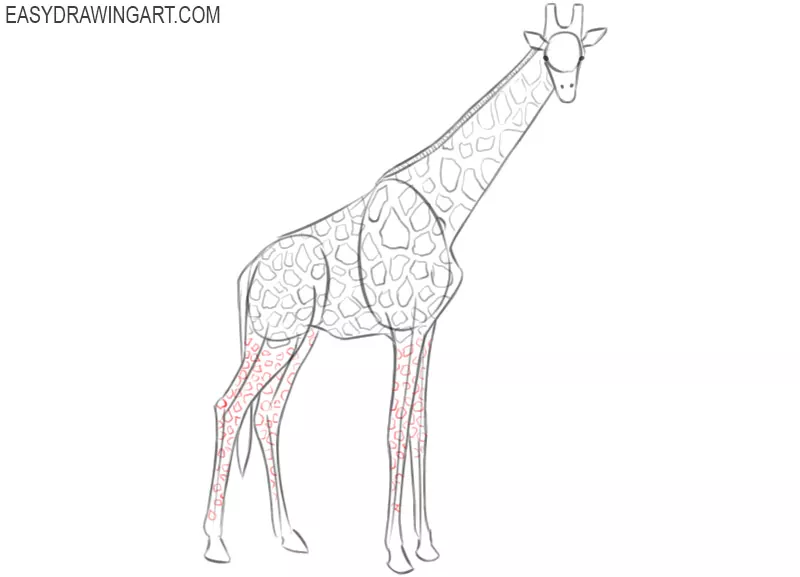 how to draw giraffe images