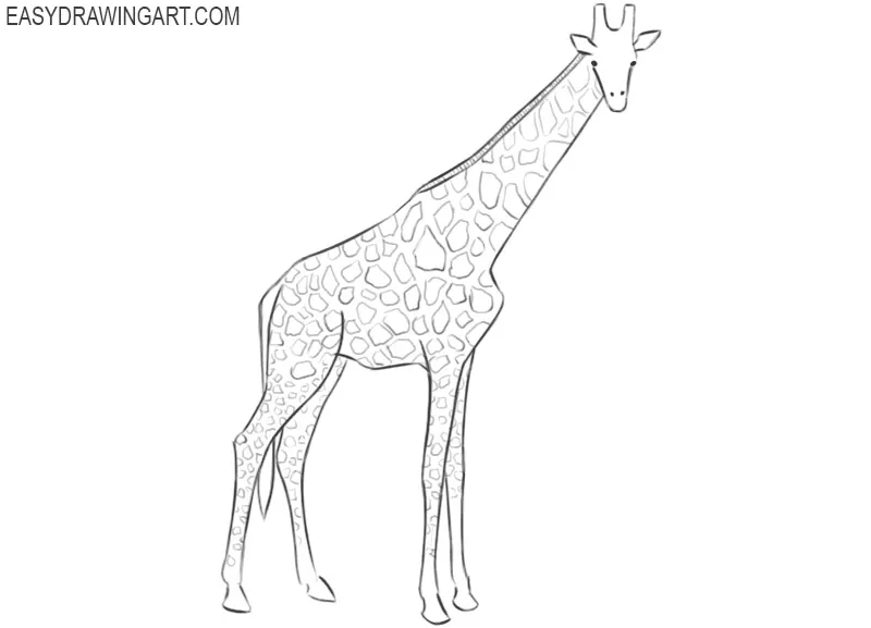 how to draw giraffe in easy way