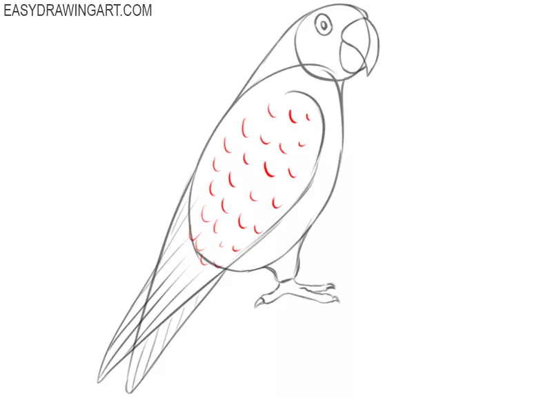 how to draw green parrot step by step