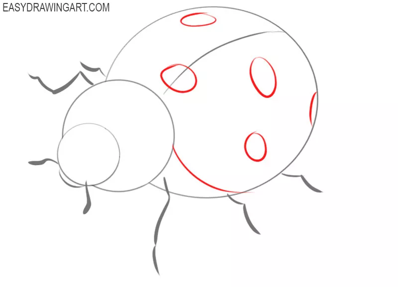 how to draw a ladybug step by step