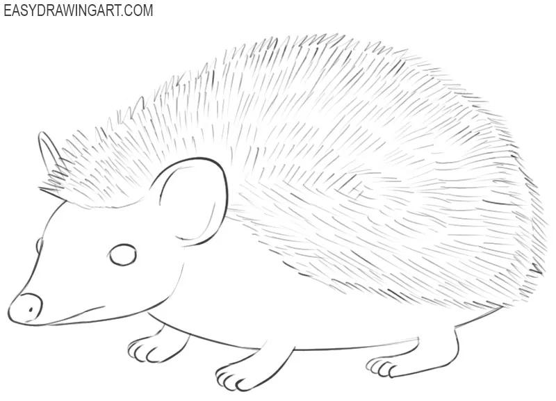 how to draw the perfect hedgehog 