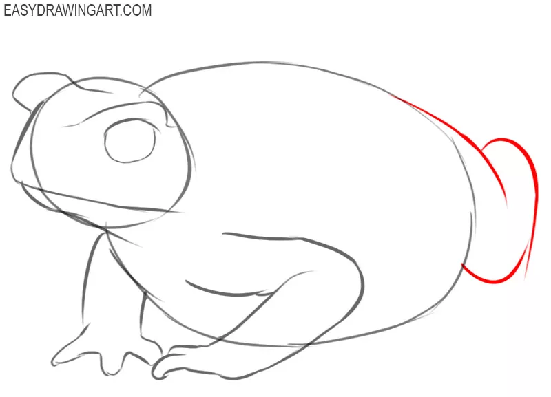 how to draw toad guide