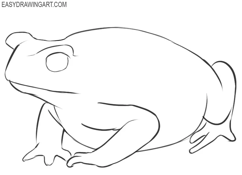How to Draw a Toad Easy Drawing Art