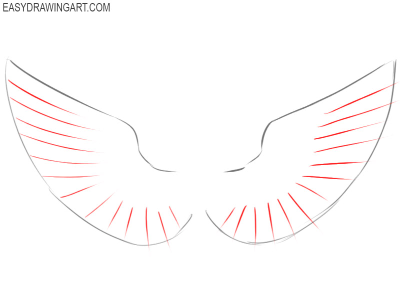 how to draw wings simple