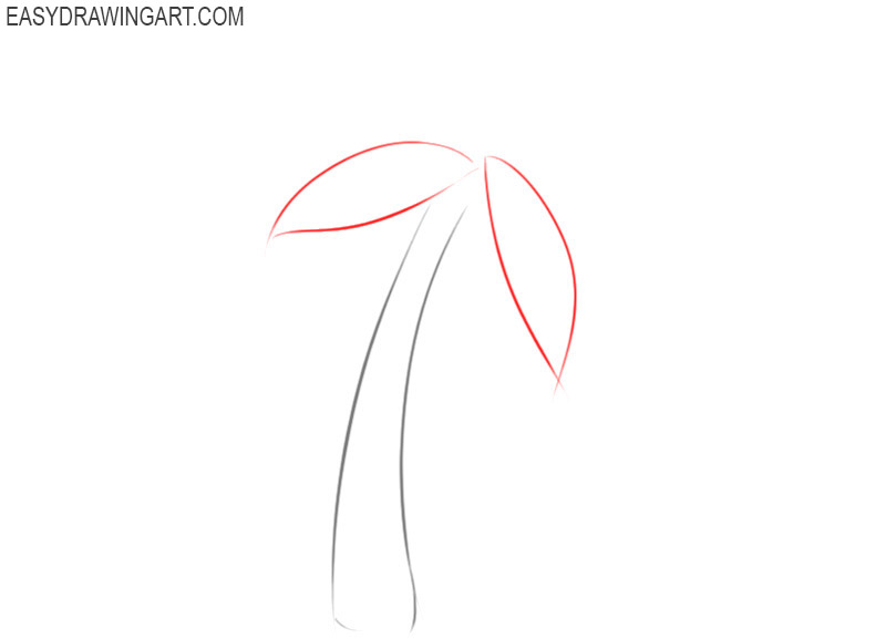 how to draw a palm tree easy step by step