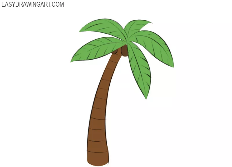 how to draw a palm tree