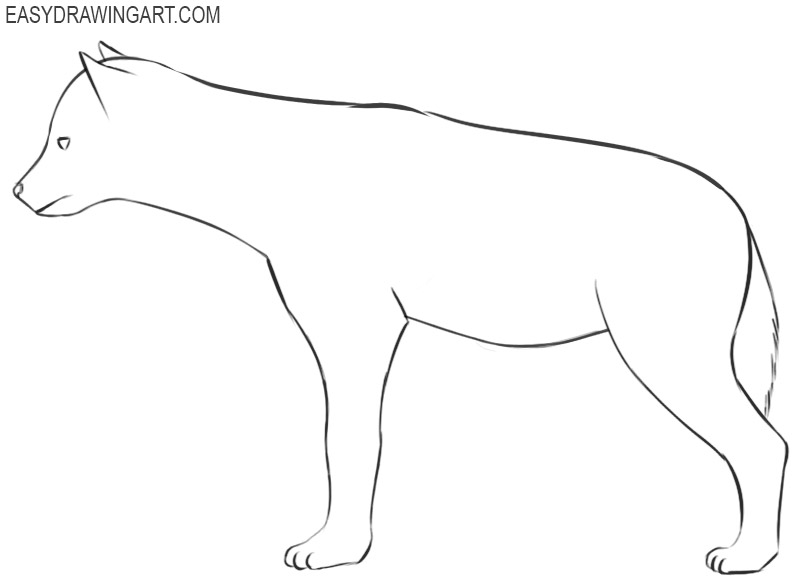 hyena drawing images