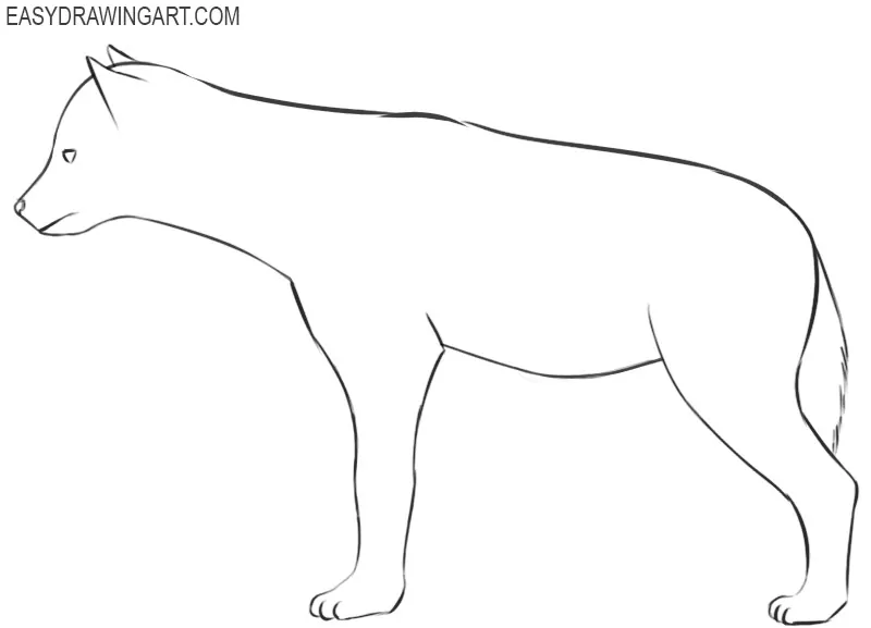 hyena drawing images