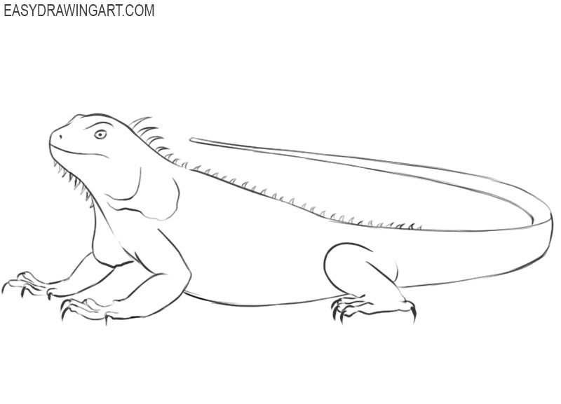 iguana drawing cartoon