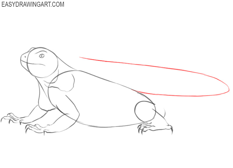 iguana drawing easy