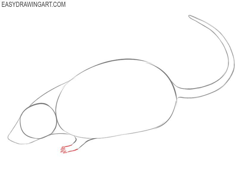 images of how to draw a rat