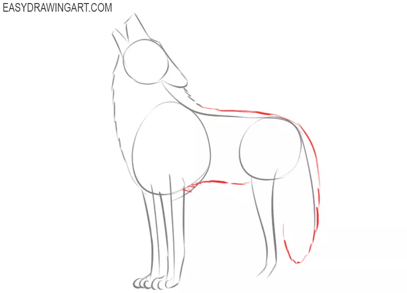 images of how to draw a wolf