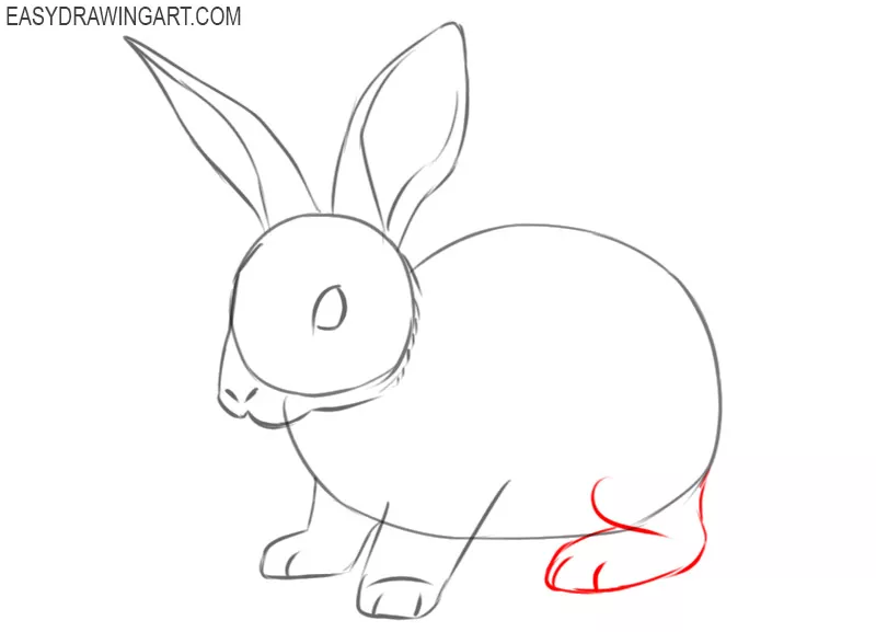 instructions of how to draw a rabbit