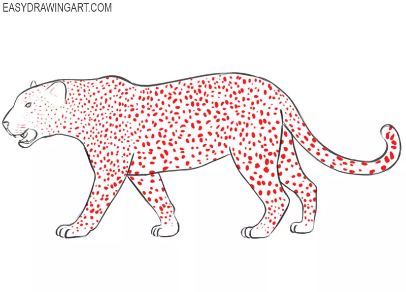 leopard drawing step by step