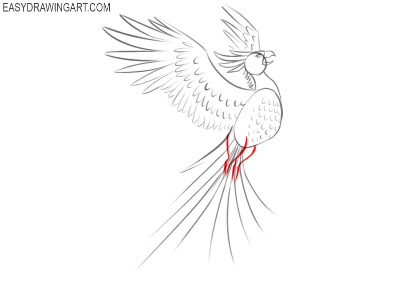easy phoenix drawing