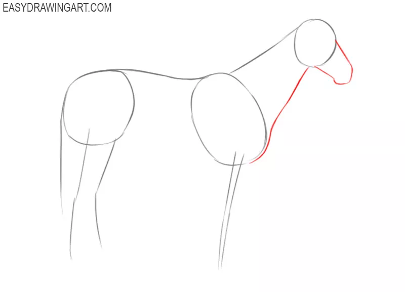 pictures of how to draw a horse