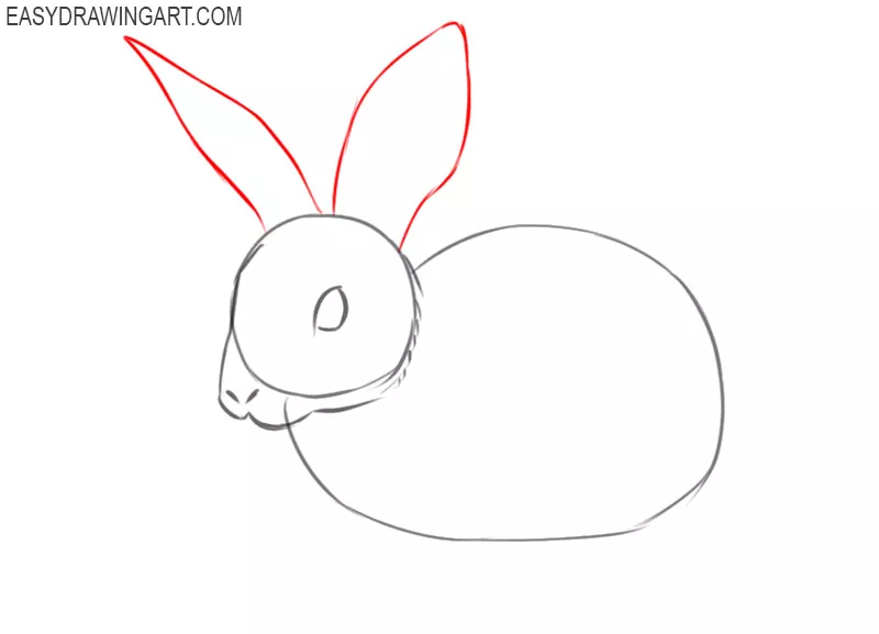 pictures of how to draw a rabbit