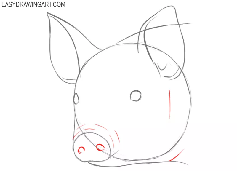 pig face drawing easy