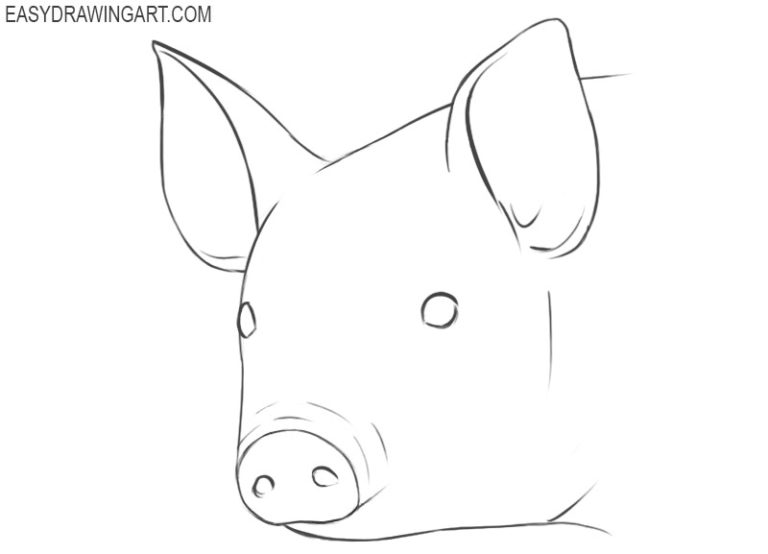 How to Draw a Pig Face Easy Drawing Art