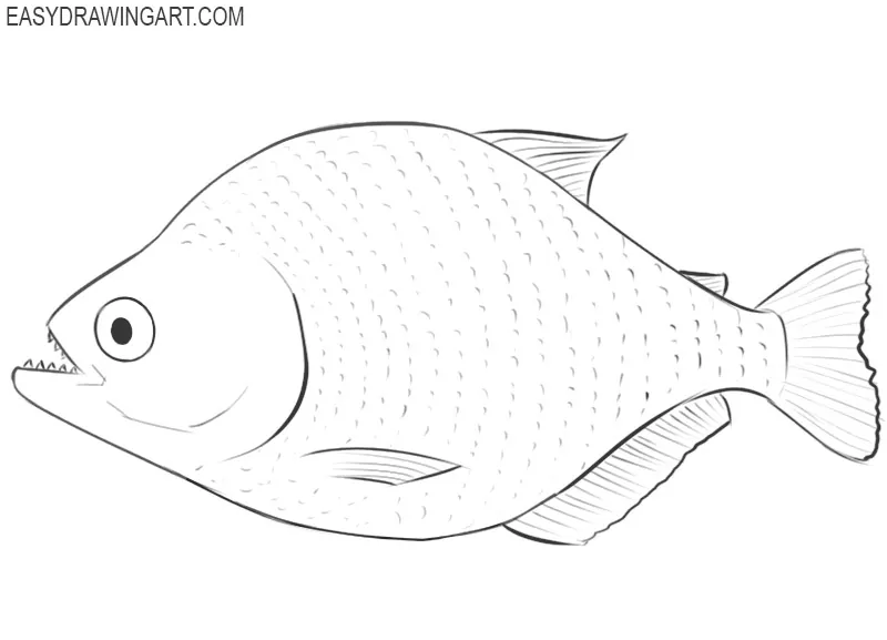 piranha drawing cute