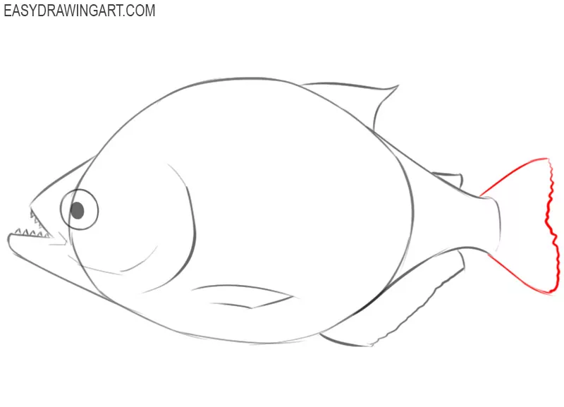 piranha drawing easy
