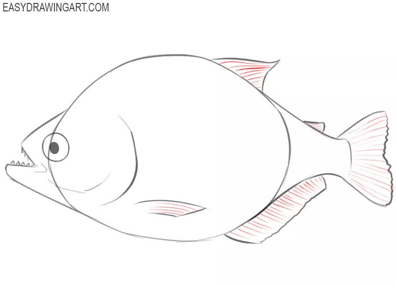 piranha drawing images