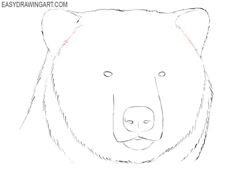 realistic bear head drawing