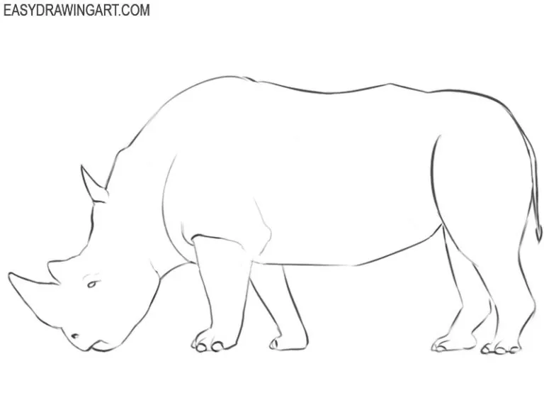 How to Draw a Rhinoceros Easy Drawing Art